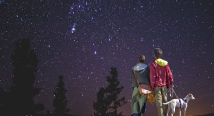 ¿Cuándo y cómo puedes ver la lluvia de estrellas Gemínidas en 2024?