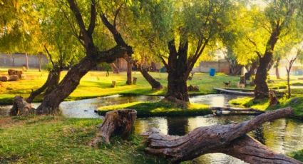 El manantial de 'aguas medicinales' de Puebla que proviene del Popocatépetl ideal para este finde