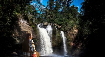 ¿Cómo llegar a la impresionante Cascada de las Golondrinas en Hidalgo desde la CDMX?