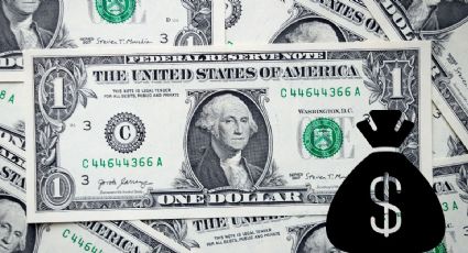 Precio del dólar hoy: así cotiza el tipo de cambio EN VIVO este 16 de diciembre de 2024