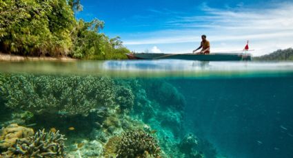 El bello manantial que tiene un jardín submarino para disfrutar gratis