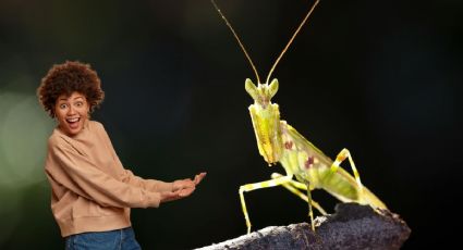 ¿Te atreves a conocerlos? El impresionante Museo Vivo de Insectos en un Pueblo Mágico