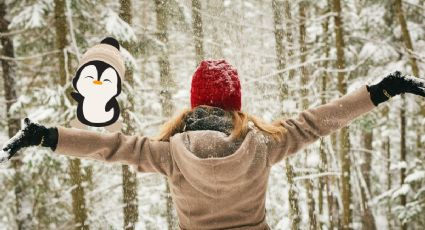 ¡Llegó el invierno! Heladas, frente frío y todos los detalles del clima para hoy 21 de diciembre