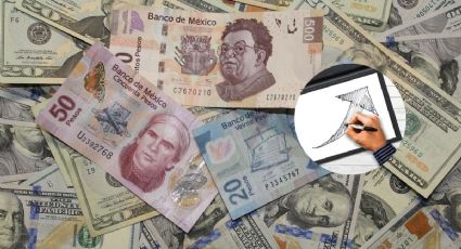 Precio del dólar hoy: Tasa exacta de cambio en vivo hoy 21 de diciembre de  2024