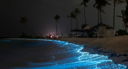 ¡Espectáculo natural! La playa de Michoacán donde podrás ver la bioluminiscencia