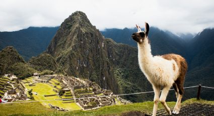 Machu Picchu reabre sus accesos a los viajeros tras protestas por venta de boletos