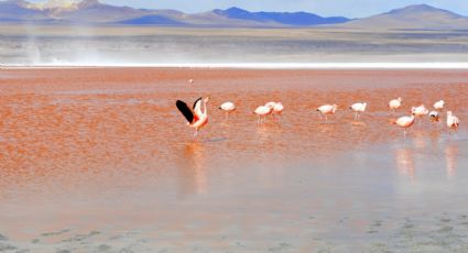 El Pueblo Mágico con una laguna que se pinta de rojo ideal para visitar el 14 de febrero