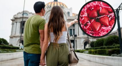 ¿Sin regalo de San Valentín? Chocolaterías en CDMX para un presente muy dulce