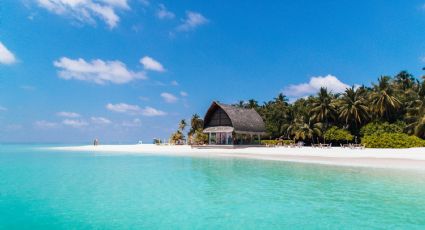 Bahía Espíritu Santo, la isla que resguarda a la única ave que puede volar y dormir al mismo tiempo