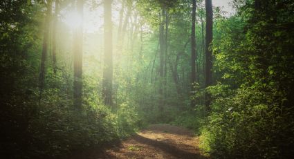 Los senderos más bonitos para caminar entre la naturaleza en España