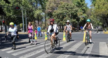 Paseo dominical: Museos GRATIS para visitar en domingo en familia por CDMX