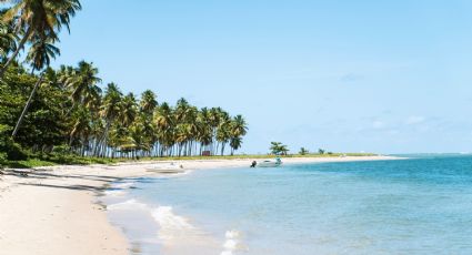 Las playas más cerca de Mérida para un viaje de ida y vuelta en las vacaciones