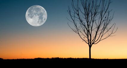 Luna llena de Nieve, ¿cuándo y a qué hora ver la luna llena de febrero 2024?