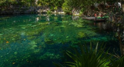 ¿Dónde se encuentran los 'cenotes' de Veracruz para poder nadar y descansar con vistas increíbles?