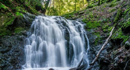 Visita las 10 cascadas que ‘aparecen’ entre las nubes de la Sierra de Puebla