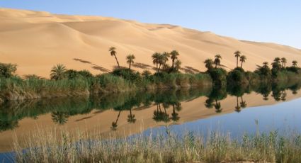 Oasis natural en medio del desierto: es el único que existe en el continente americano