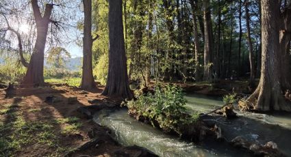 Este es el río donde nacen las cascadas ‘ocultas’ más bellas para refrescarte en Chiapas