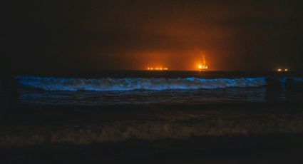 ¿Cuándo empieza la temporada de bioluminiscencia en las playas mexicanas?