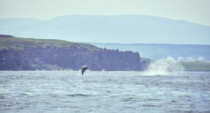 ¿Existen las sirenas? La isla de Italia con forma de delfín donde se dice que viven estos seres