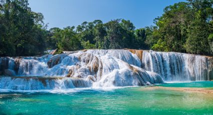 Cascadas de Agua Azul, el paraíso turquesa de Chiapas para refrescarse