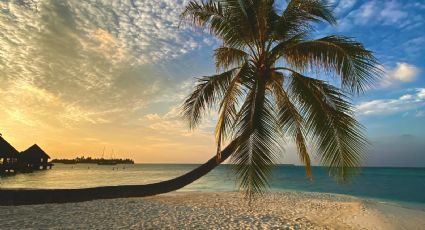 ¿Cuál es la playa más barata y cerca de Guadalajara y cuánto pagas en casetas para llegar?