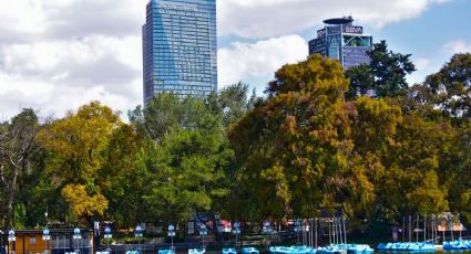 ¿Qué hacer en un puente? Lugares que sí abren este lunes 18 de marzo en CDMX