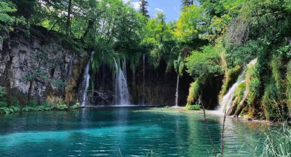 El impresionante ahuehuete 'milagroso' rodeado de pozas naturales con aguas cristalinas