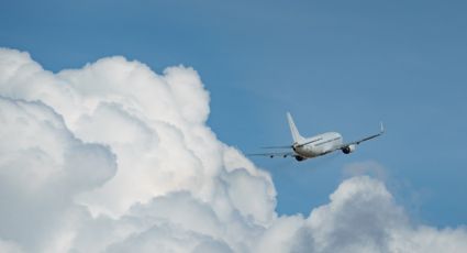 ¿Por qué la mayoría de los aviones son blancos? AIFA responde