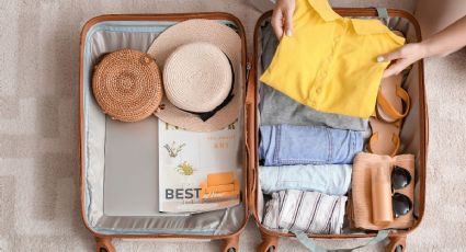 ¿Qué debes hacer si fuiste de vacaciones y trajiste una chinche en el equipaje?