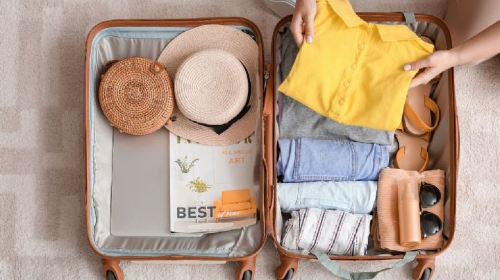 ¿Qué debes hacer si fuiste de vacaciones y trajiste una chinche en el equipaje?