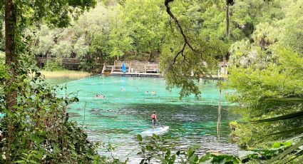 Balneario natural en el que nace el agua entre ahuehuetes para visitar en Semana Santa