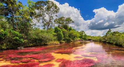 Caño Cristales, el sitio que resguarda el arcoíris más brillante de Colombia