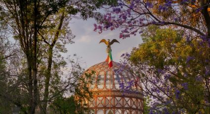 7 lugares más bellos de la CDMX para disfrutar de la primavera y las flores