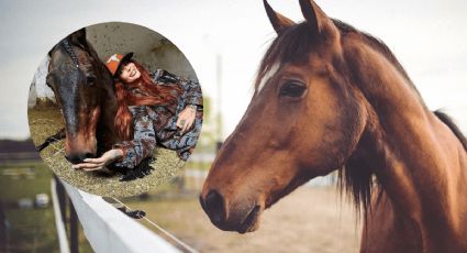 ¿Dónde se ubica Cuacolandia? El santuario de caballos de Elena Larrea