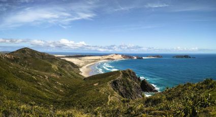 Isla Mamut, el rincón de México donde, ¿nadarás con elefantes?