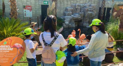 Día del Niño: Lugares ideales para ir con tus hijos y celebrar en la CDMX sin gastar tanto