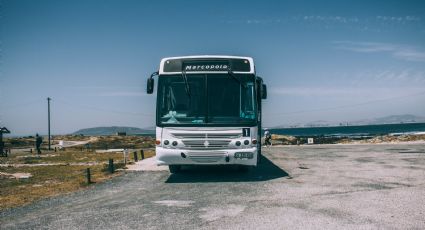 Vacaciones 2024: ¿Cuáles son las líneas de autobús para ir a Puerto Vallarta desde CDMX?