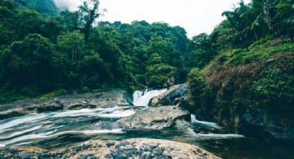 ¿Con poco tiempo? Qué hacer en Cuetzalan en un viaje exprés de ida y vuelta