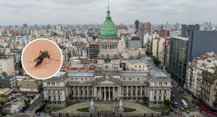 ¿De viaje por Argentina?  Cómo protegerte de la epidemia por dengue