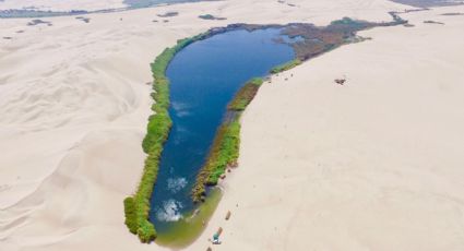 Oasis naturales en medio del desierto alrededor del mundo: 5 paraísos que asombran a los visitantes