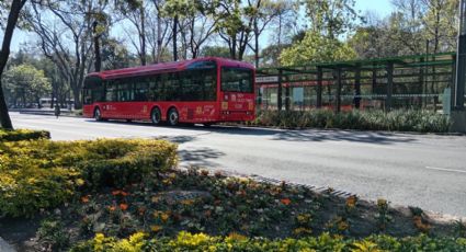 ¿Nueva línea del metrobús? Así podría ser el proyecto de la línea 0 de este transporte en la CDMX