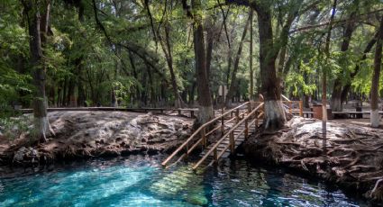 Disfruta de la belleza del sureste mexicano en estos sitios de aguas termales