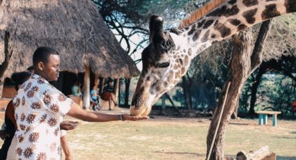 ¡Jirafas, burros y tigres! Conoce los lugares en el Edomex para que los niños se diviertan con animales