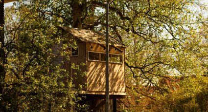 Viajes de aventura: Estas son las casas de árbol para hospedarte entre la selva