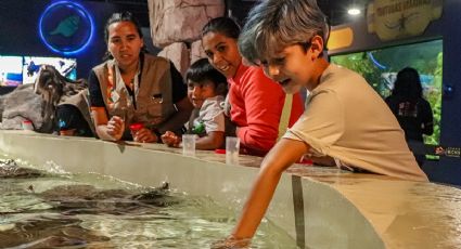 Experiencias con animales ideales para el Día del Niño en la CDMX