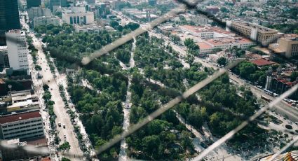 Las colonias de la CDMX con más parques y áreas verdes para pasear