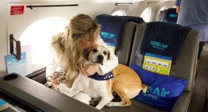 Vuelos pet friendly: Así es la primera aerolínea sólo para viajeros con mascotas