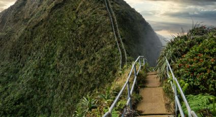 ¡No más fotos! Hawai eliminará 'Escalera al Cielo' por mal comportamiento de turistas