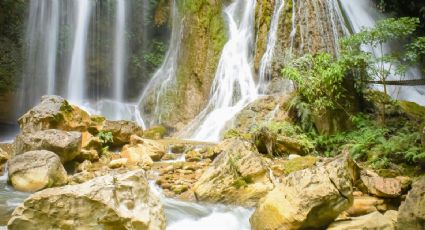 ¿Quieres refrescarte? Las cascadas ‘mágicas’ de Oaxaca para un viaje al natural