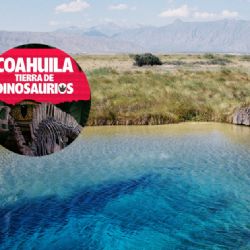 Del desierto a aguas termales: Los imperdibles de tu viaje por Coahuila